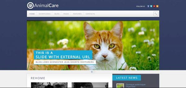 animal care wordpress theme - arunace blog