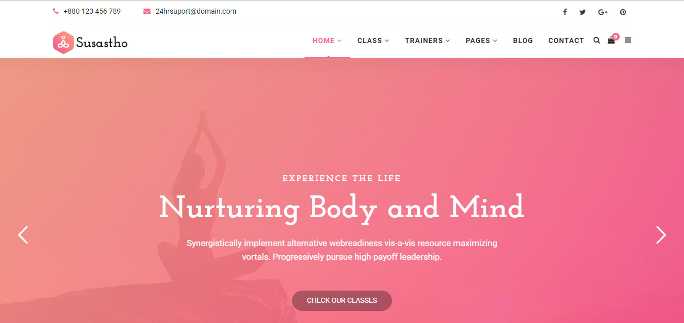 susastho health and yoga related wordpress theme review arunace